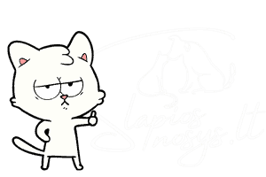 slapiosNosys logo+katinas